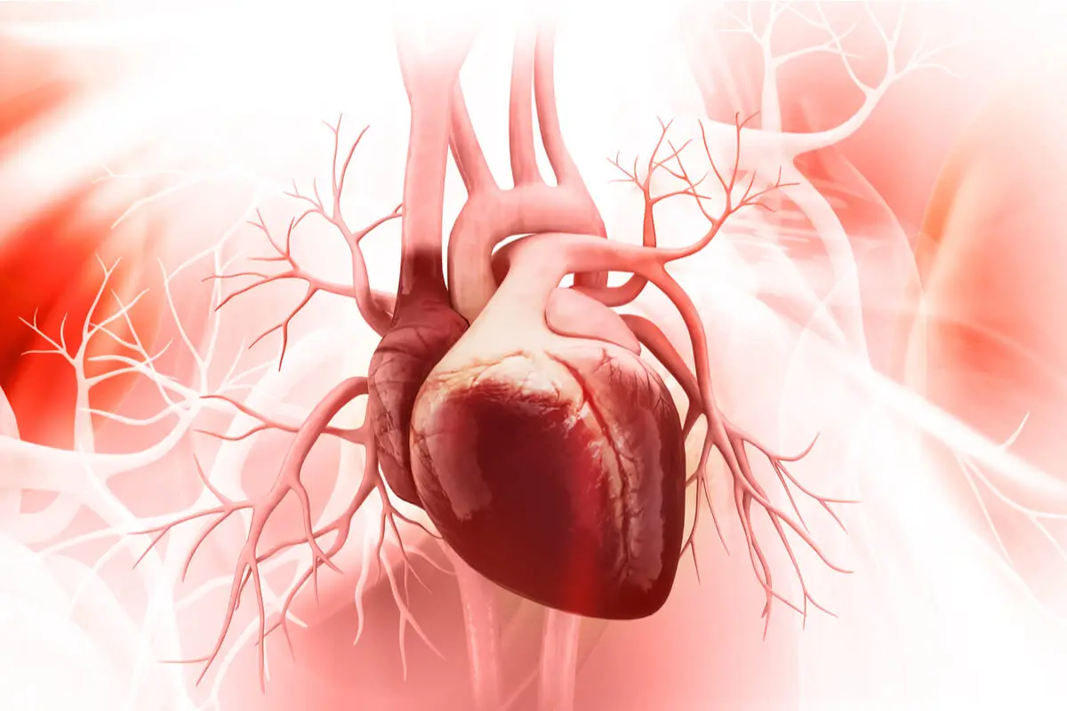 Salud cardiovascular