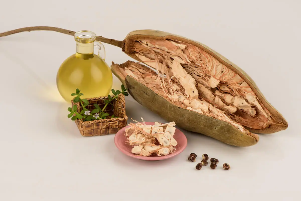 Presentaciones del fruto de baobab o pan de mono.