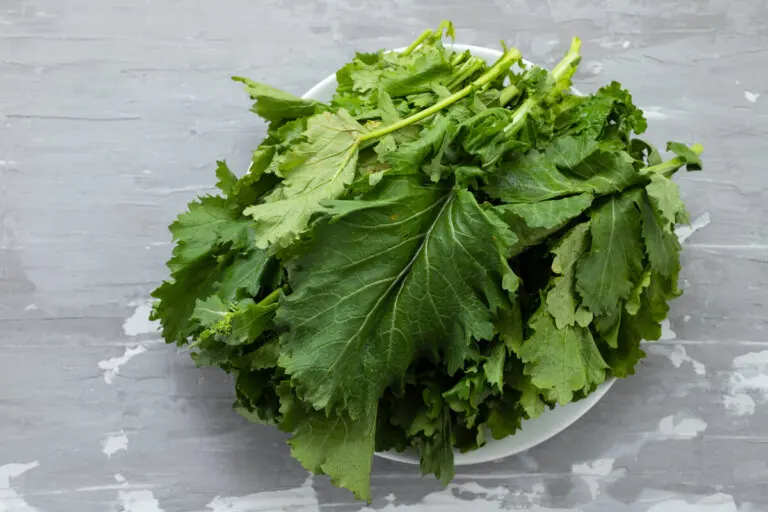 Hojas de nabo: nutrición, beneficios y usos en la cocina