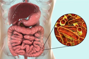 Infección por Shigella o shigelosis: causas, síntomas y tratamientos