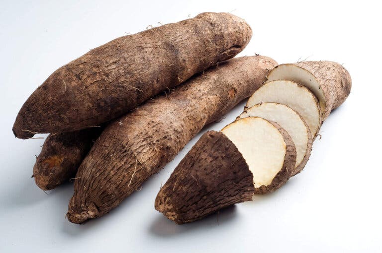 ¿Qué es el ñame silvestre y cuáles son sus propiedades?