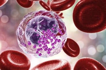 Neutropenia: todo lo que debes saber