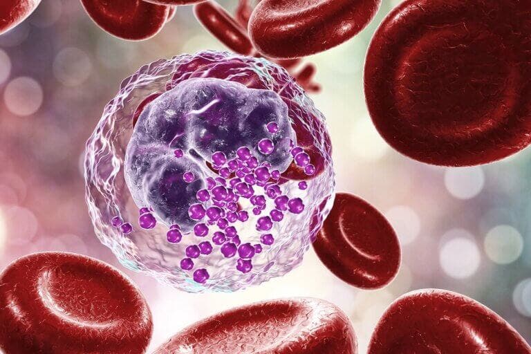 Neutropenia: todo lo que debes saber