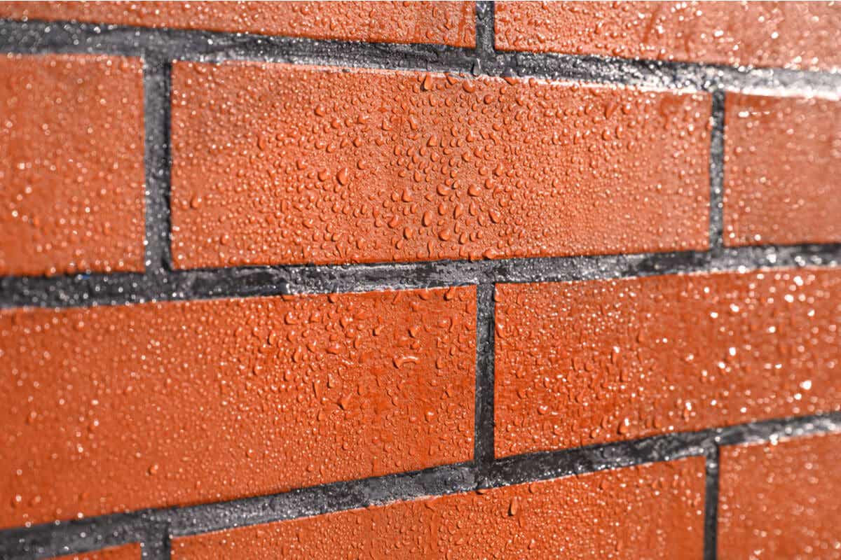 ¿Cómo proteger las paredes de ladrillo contra el moho?