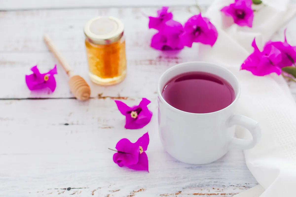 Té de bugambilia.