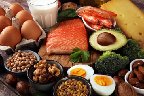 La calidad de la dieta es más importante que el tipo de dieta