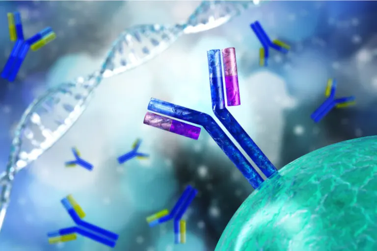 Prueba de anticuerpos antinucleares: ¿cómo y para qué se hace?