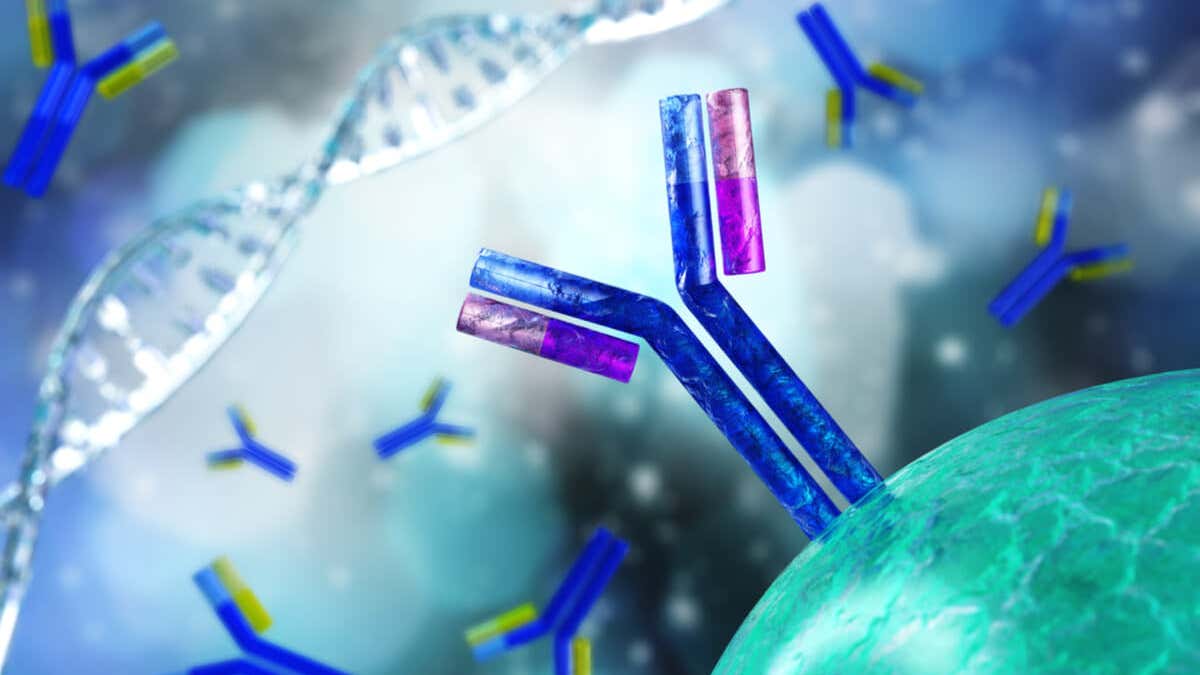Qu'est-ce qu'un test d'immunofixation et à quoi sert-il