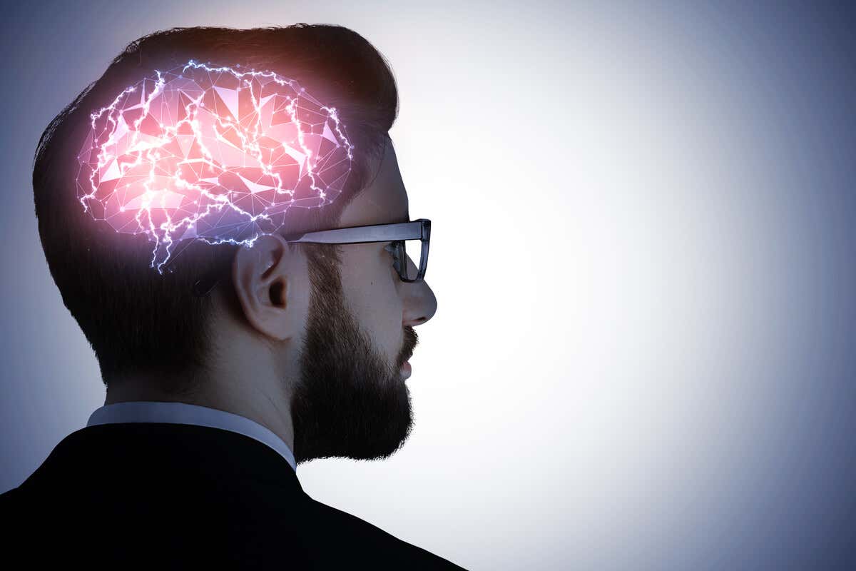 Cerebro humano procesando información para la memoria.