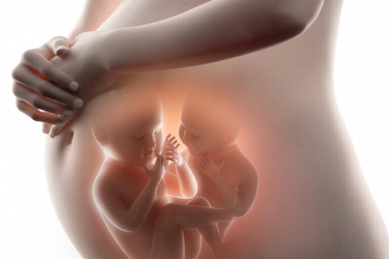 Superfetación o quedar embarazada en el embarazo