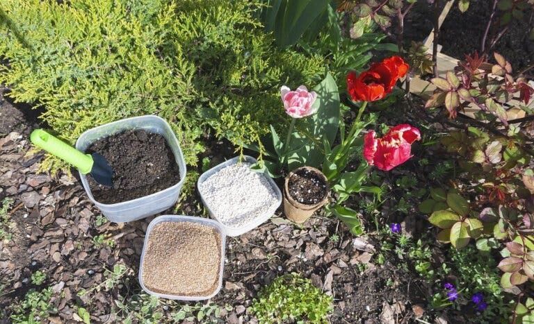 Perlita para plantas: qué es, para qué sirve y cómo se usa