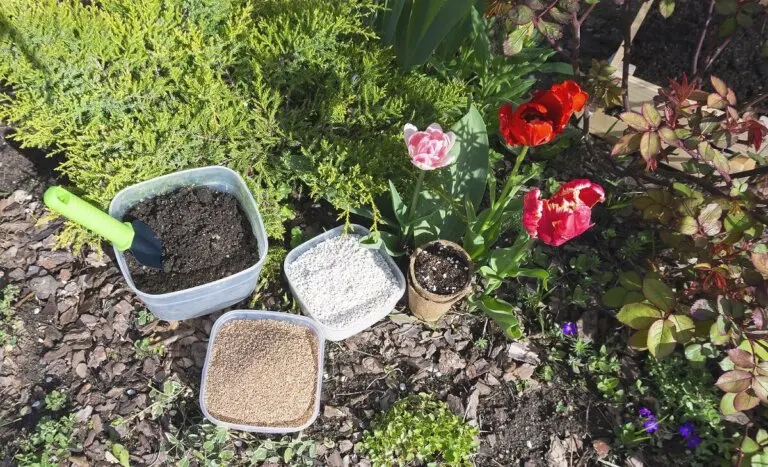 Perlita para plantas: qué es, para qué sirve y cómo se usa