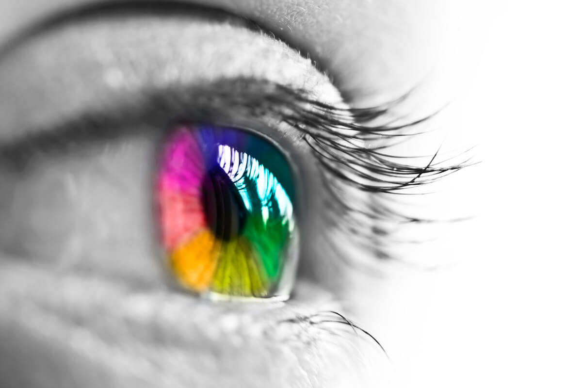 Cómo perciben nuestros ojos los colores? - Mejor con Salud