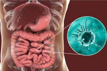 ¿Qué es la amebiasis y cómo se puede tratar?