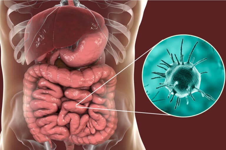 ¿Qué es la amebiasis y cómo se puede tratar?