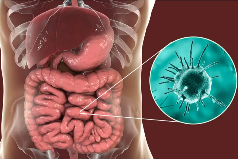 ¿Qué es la amebiasis y cómo se puede tratar?
