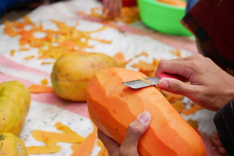 Deliciosa receta de bizcocho de papaya