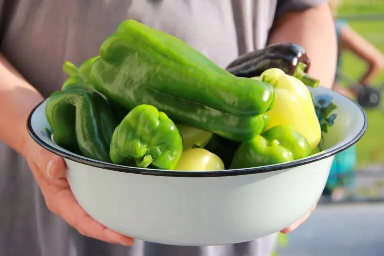¿Cómo plantar pimientos en casa?