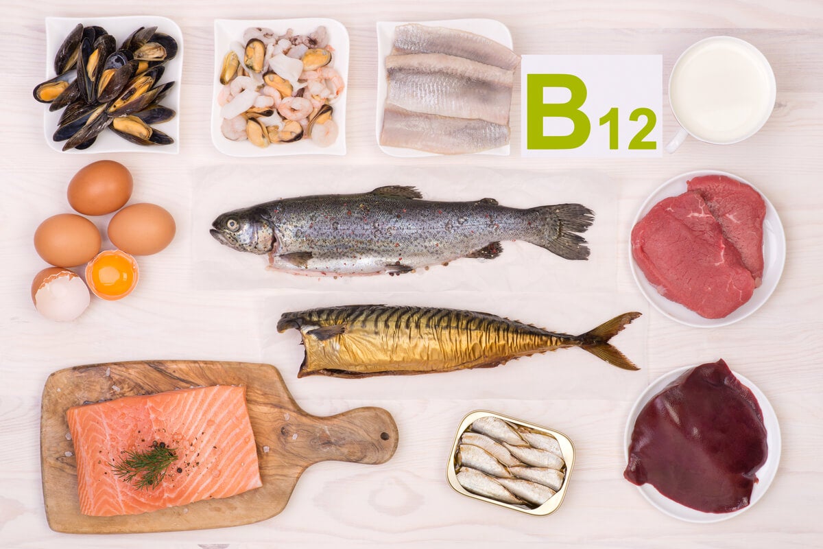 Alimentos com vitamina B12