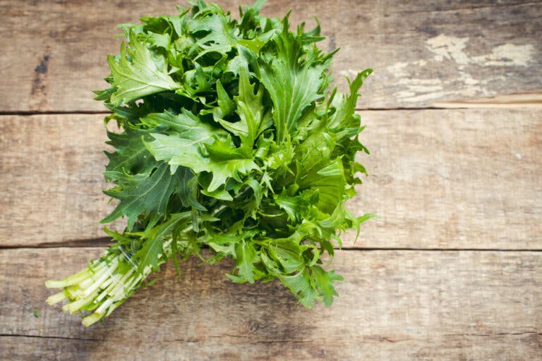 Mizuna: nutrición, beneficios y preparación