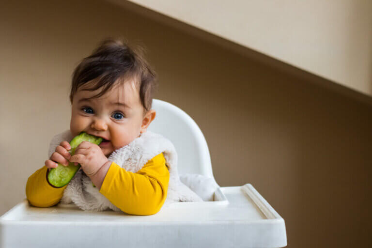 ¿Cuándo y cómo añadir pepino a la dieta del bebé?