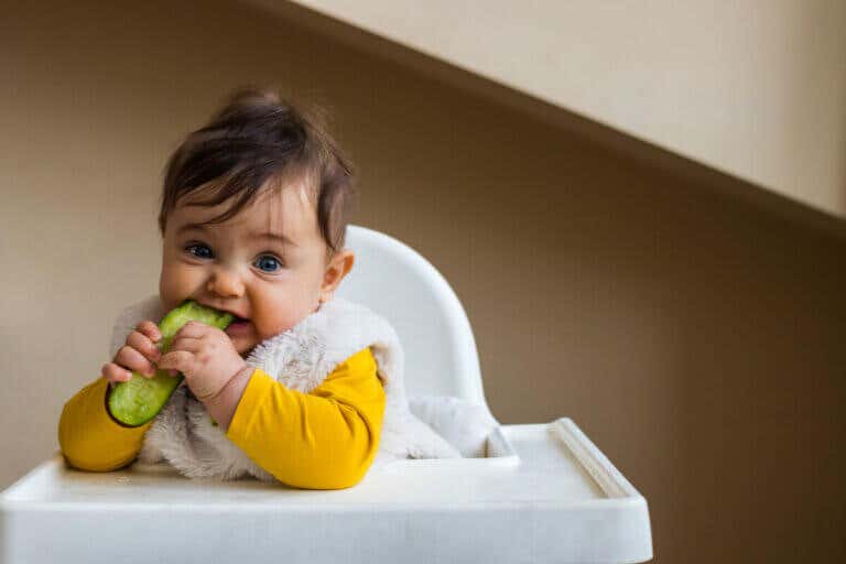¿Cuándo y cómo añadir pepino a la dieta del bebé?