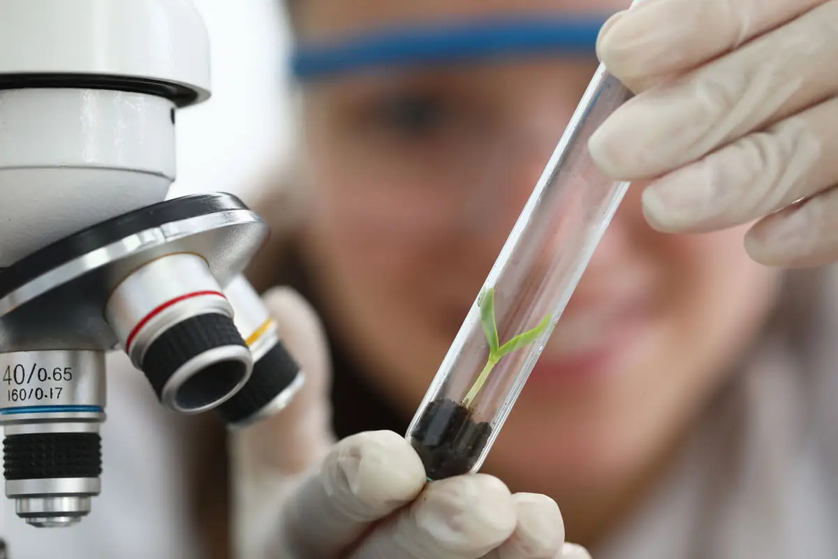 Experimentos científicos en el empirismo.