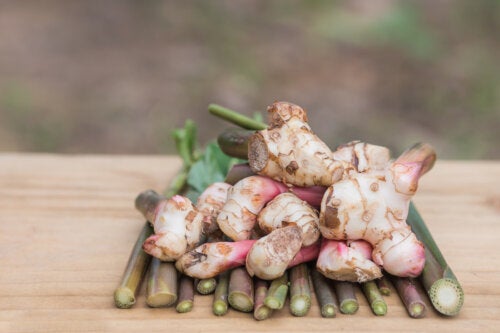 ¿Existen alimentos que actúan como antibióticos?