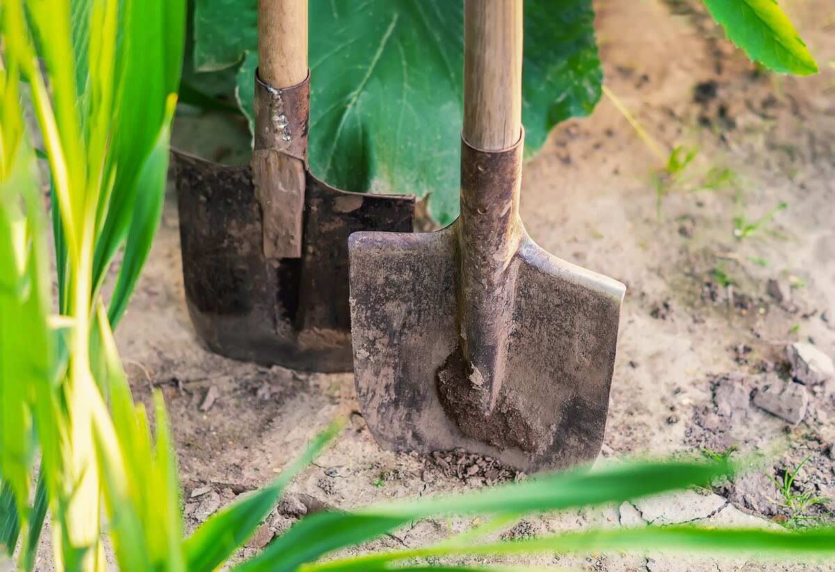 ¿Cómo limpiar las herramientas de jardín oxidadas?