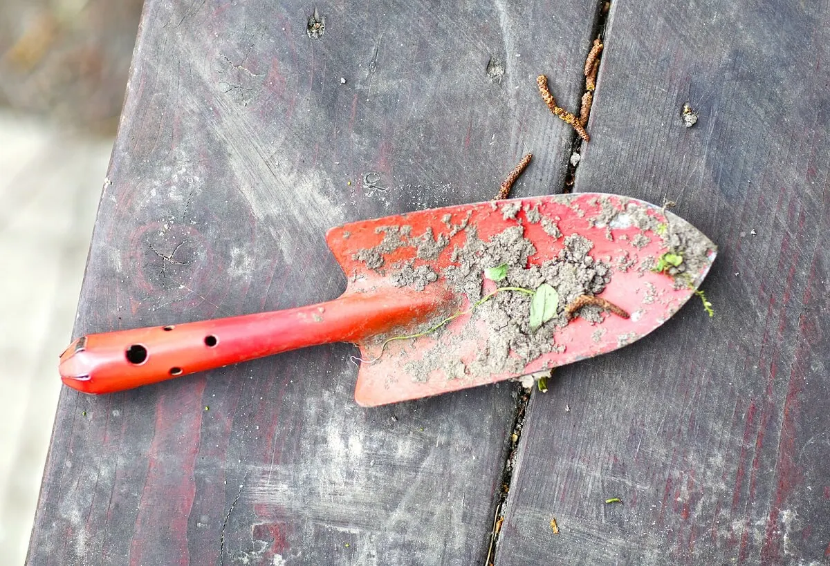 ¿Cómo limpiar las herramientas de jardín oxidadas?