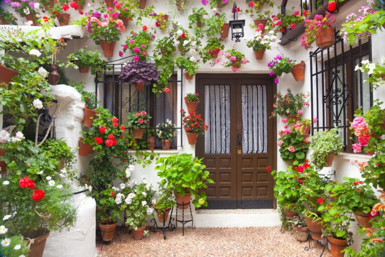 ¿Cómo decorar un patio con estilo andaluz? - Mejor con Salud