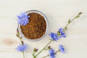 ¿Qué es la raíz de achicoria y cuáles son sus usos?
