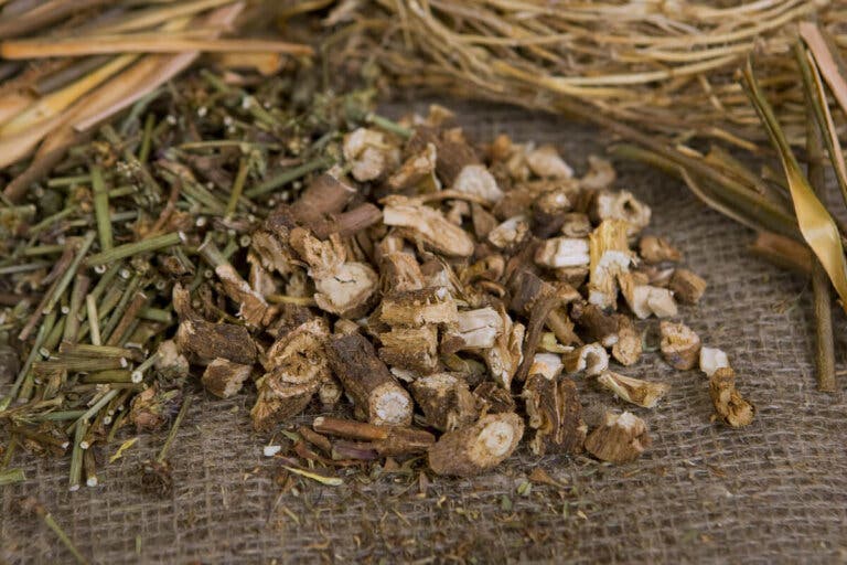 ¿Qué son los fructo-oligosacáridos y qué efectos tienen en el cuerpo?