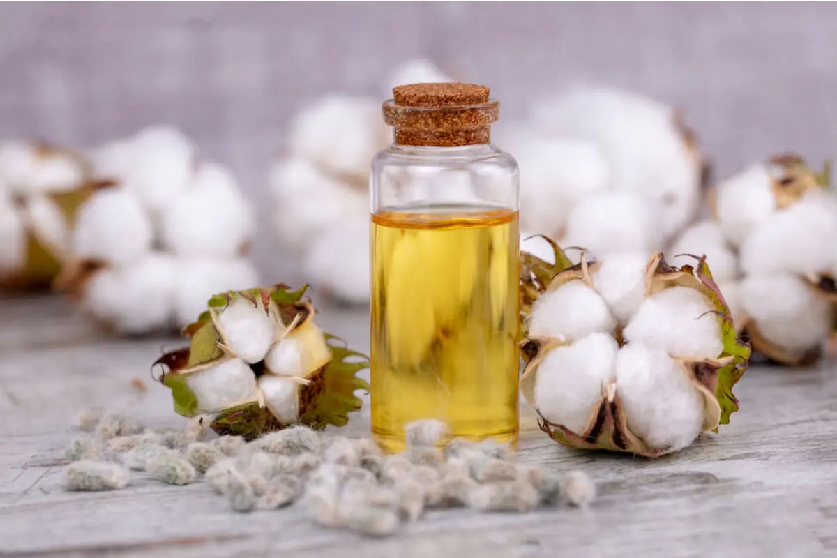 Aceite de semilla de algodón para fabricar estearato de magnesio.