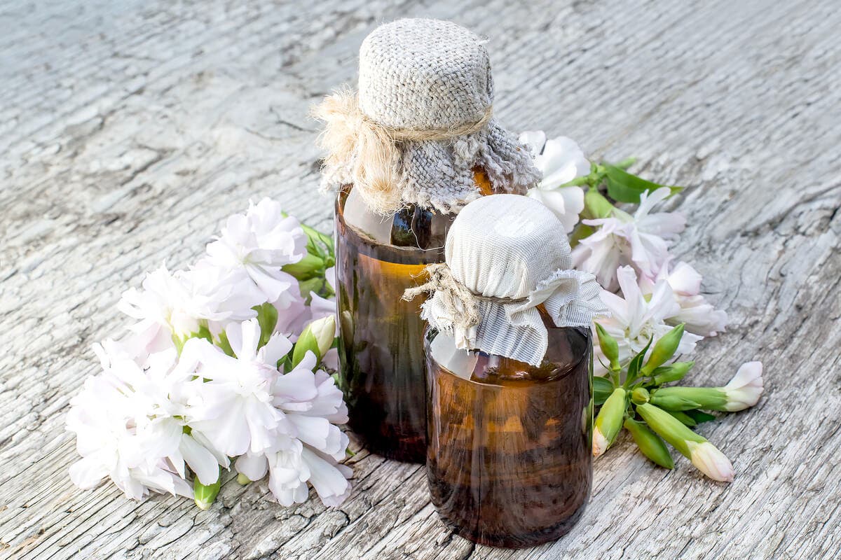 Aceite esencial de saponaria.