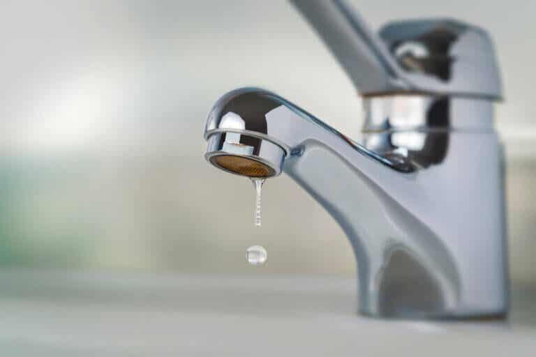 Agua dura y agua blanda: ¿qué son y cuáles son sus diferencias?