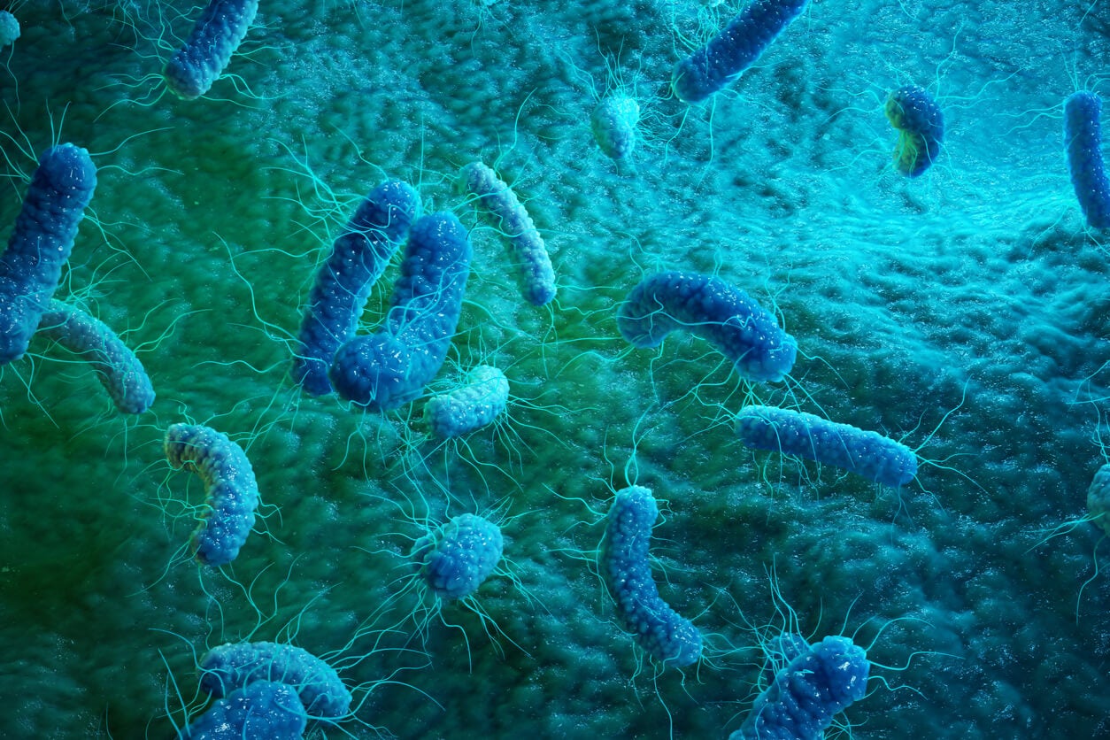 Colonias bacterianas resistentes a los antibióticos.