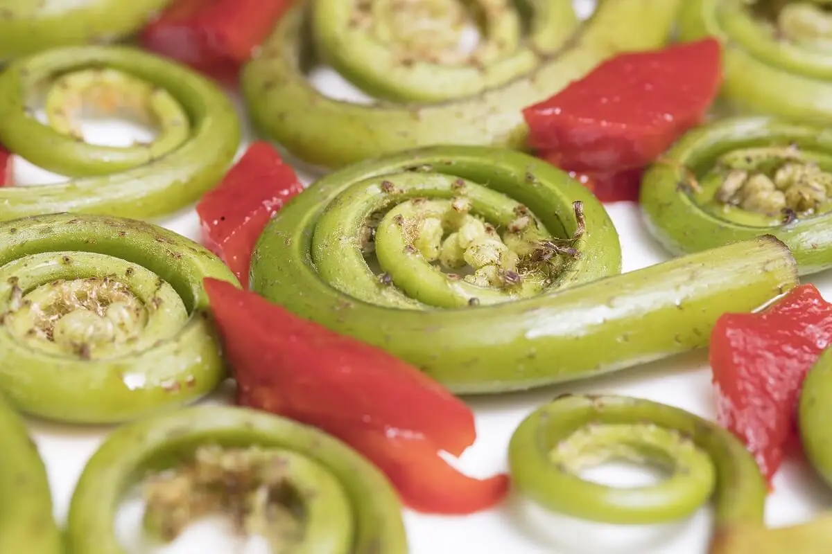 Receta recomendada: ensalada de brotes de helecho y tofu ahumado con aliño oriental