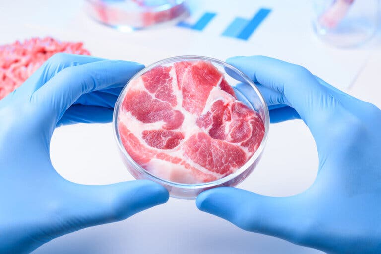 Ventajas y desventajas de la carne sintética