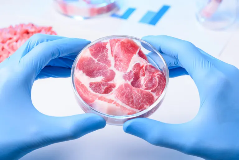 Ventajas y desventajas de la carne sintética