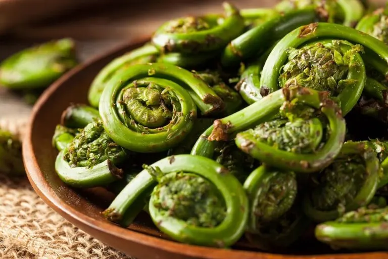 Brotes de helecho: nutrientes y cómo prepararlos