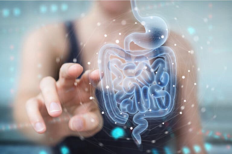 ¿Cómo afecta el ejercicio a la microbiota intestinal?