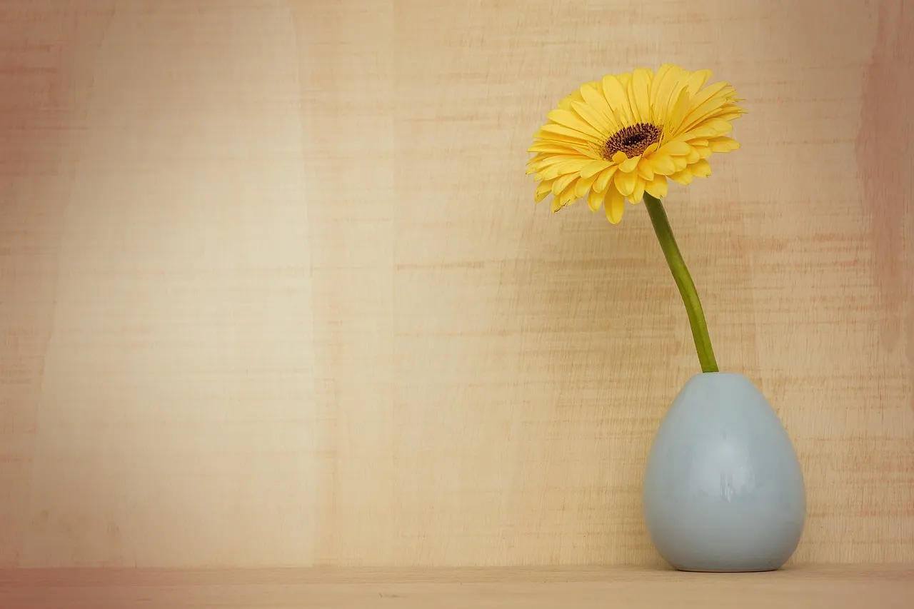 Maceta con gerbera en casa.