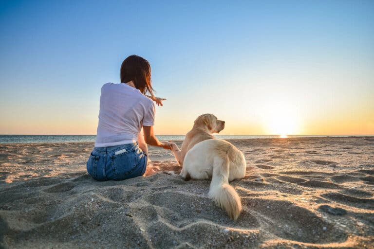 14 consejos que debes aplicar si llevas a tu perro a la playa