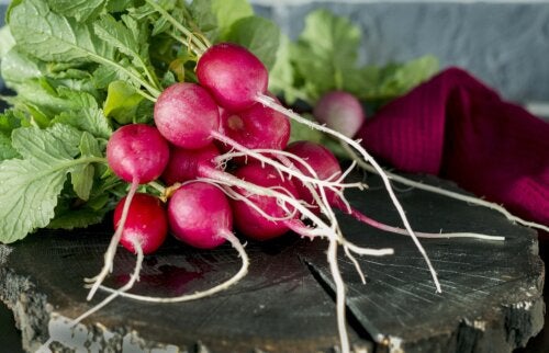 Rábano: propiedades, información nutricional y receta