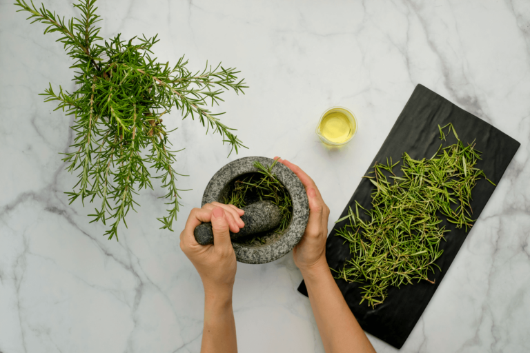 Romero: descubre sus increíbles beneficios y usos