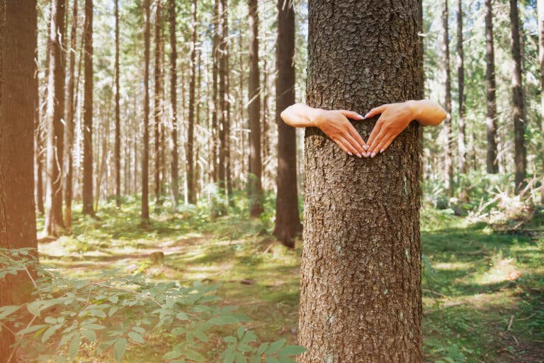 ¿Qué es el movimiento ecosexual y cómo se caracteriza?