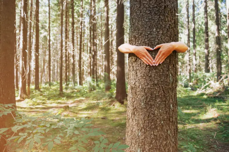 ¿Qué es el movimiento ecosexual y cómo se caracteriza?