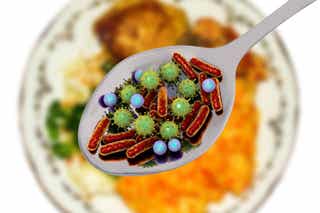 Microorganismos patógenos que pueden estar en nuestros alimentos