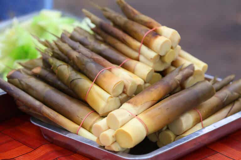 Brotes de bambú: nutrición, usos y preparación